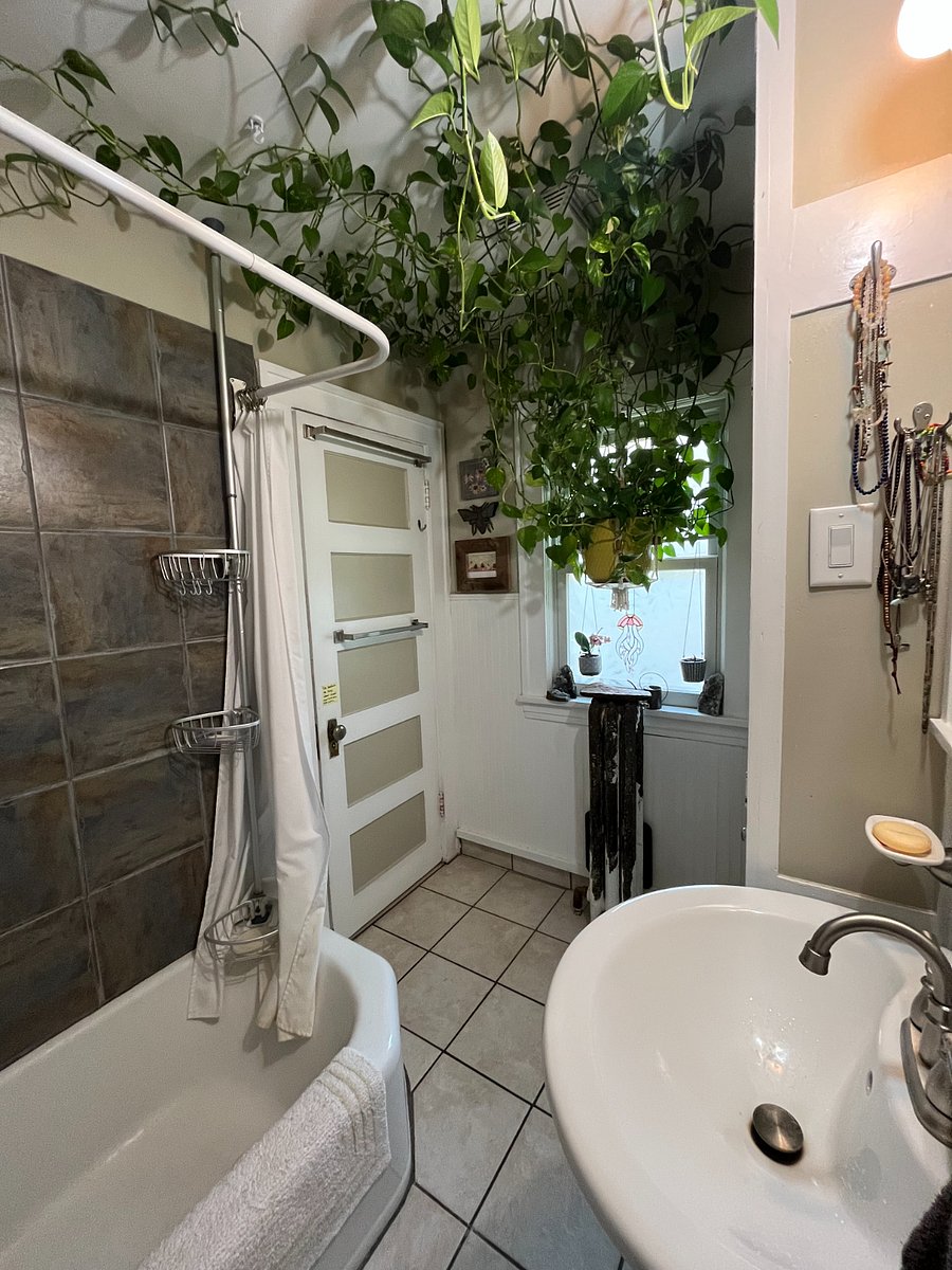 Furnished Finder property 878185_1 photo 5