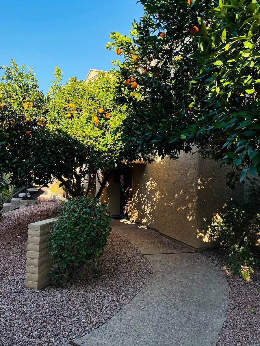 Private entrance. Our unit is the lower unit of a two story building.