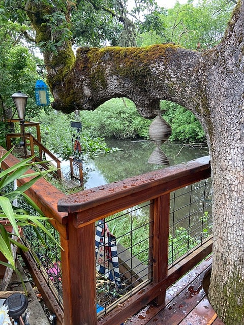 Duck pond