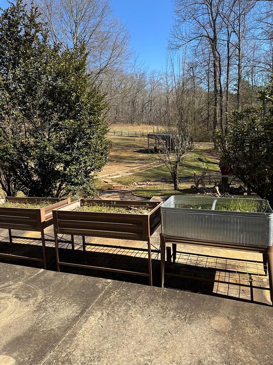 Furnished Finder property 878318_1 photo 6