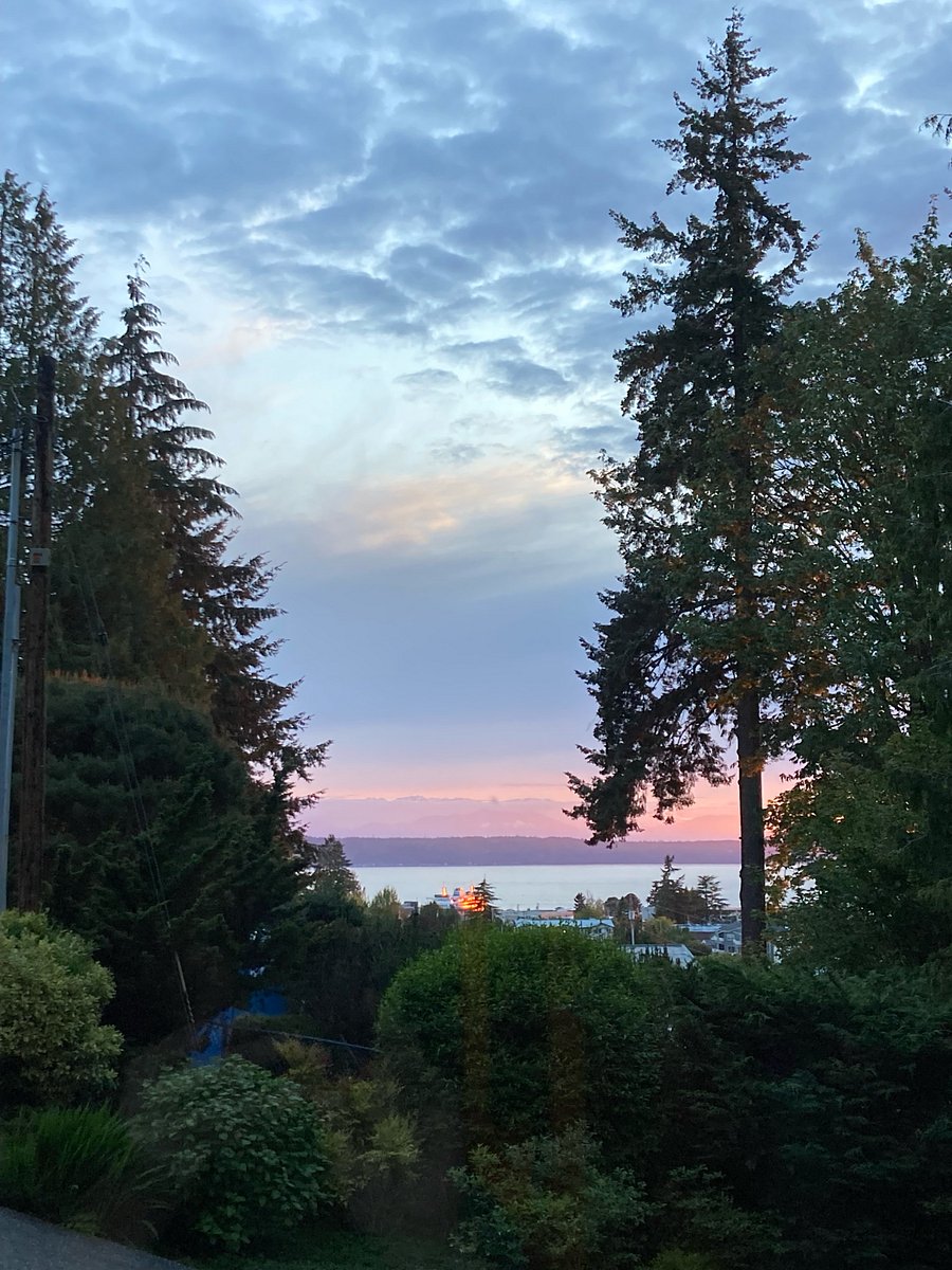 View from kitchen