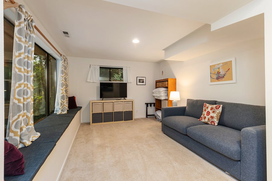 Rec room/can be a private room with new Queen pull out couch