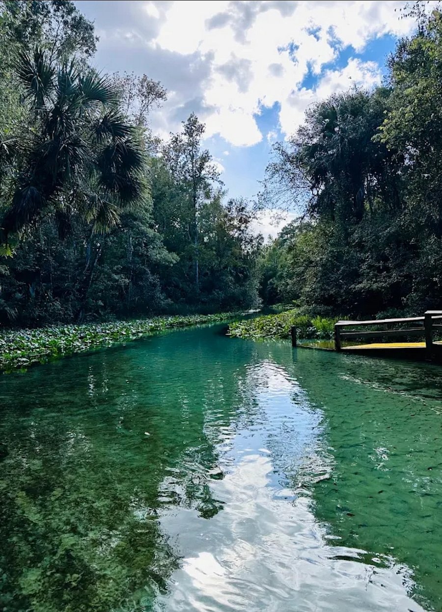 Kelly park