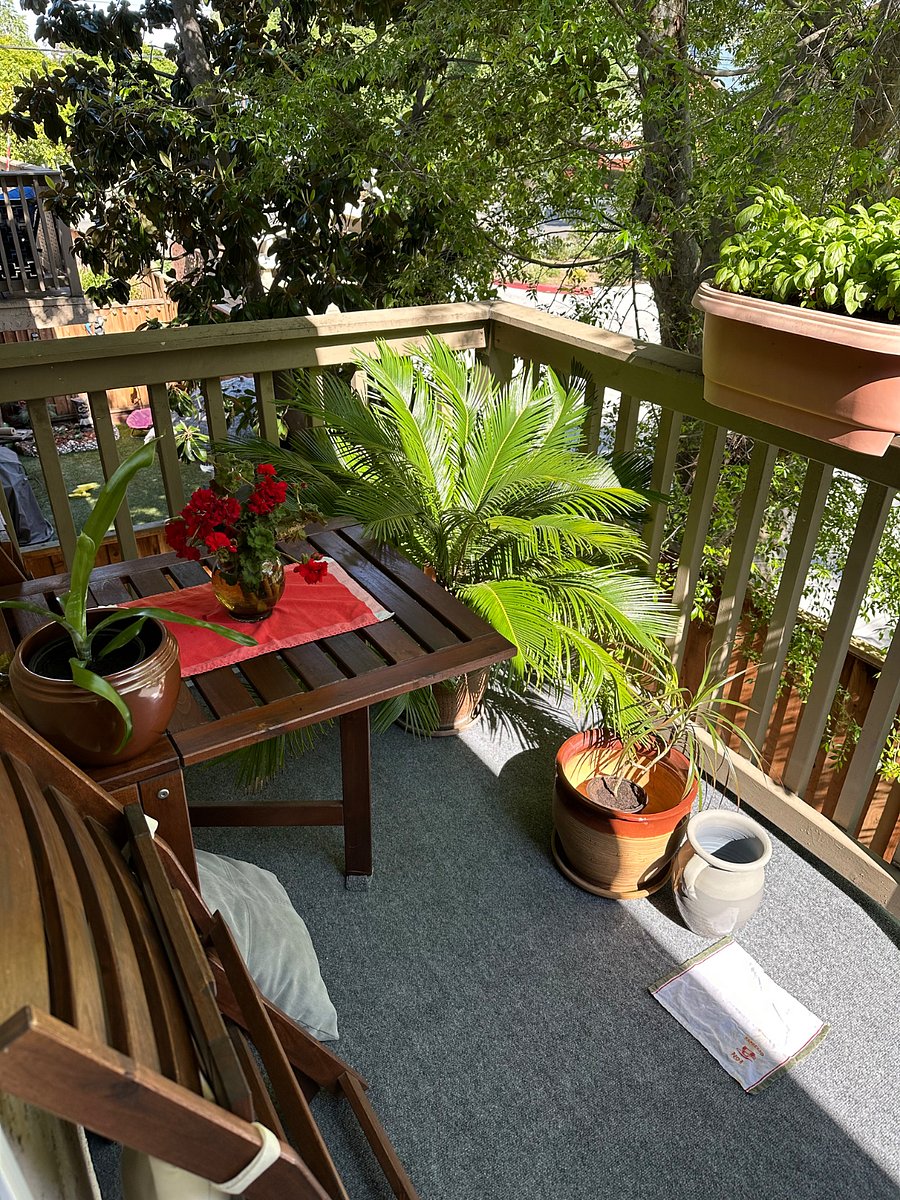 Furnished Finder property 878451_1 photo 7