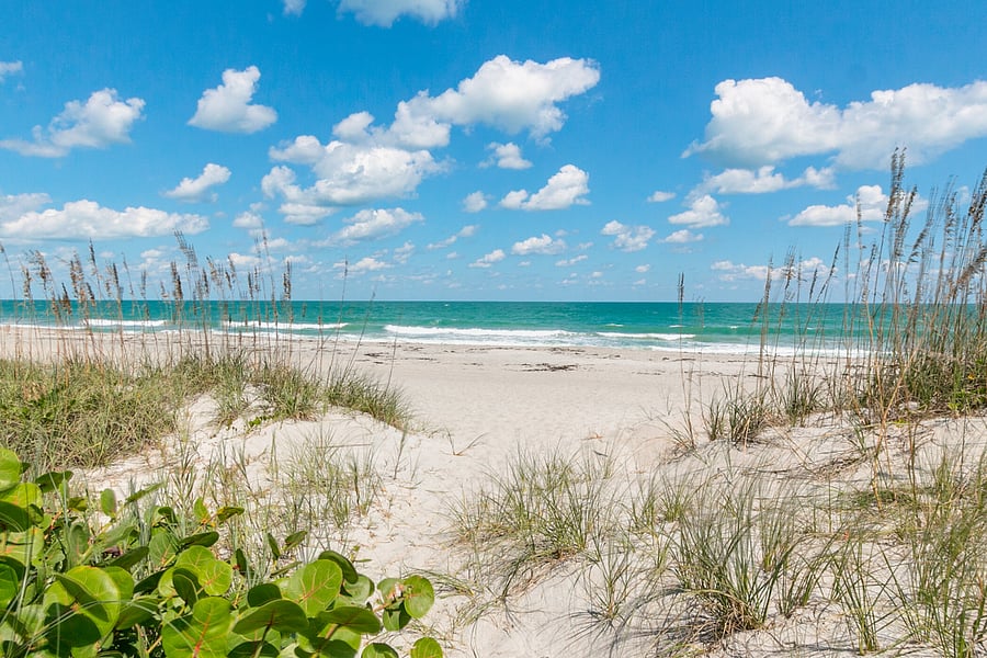Our Beautiful Beach