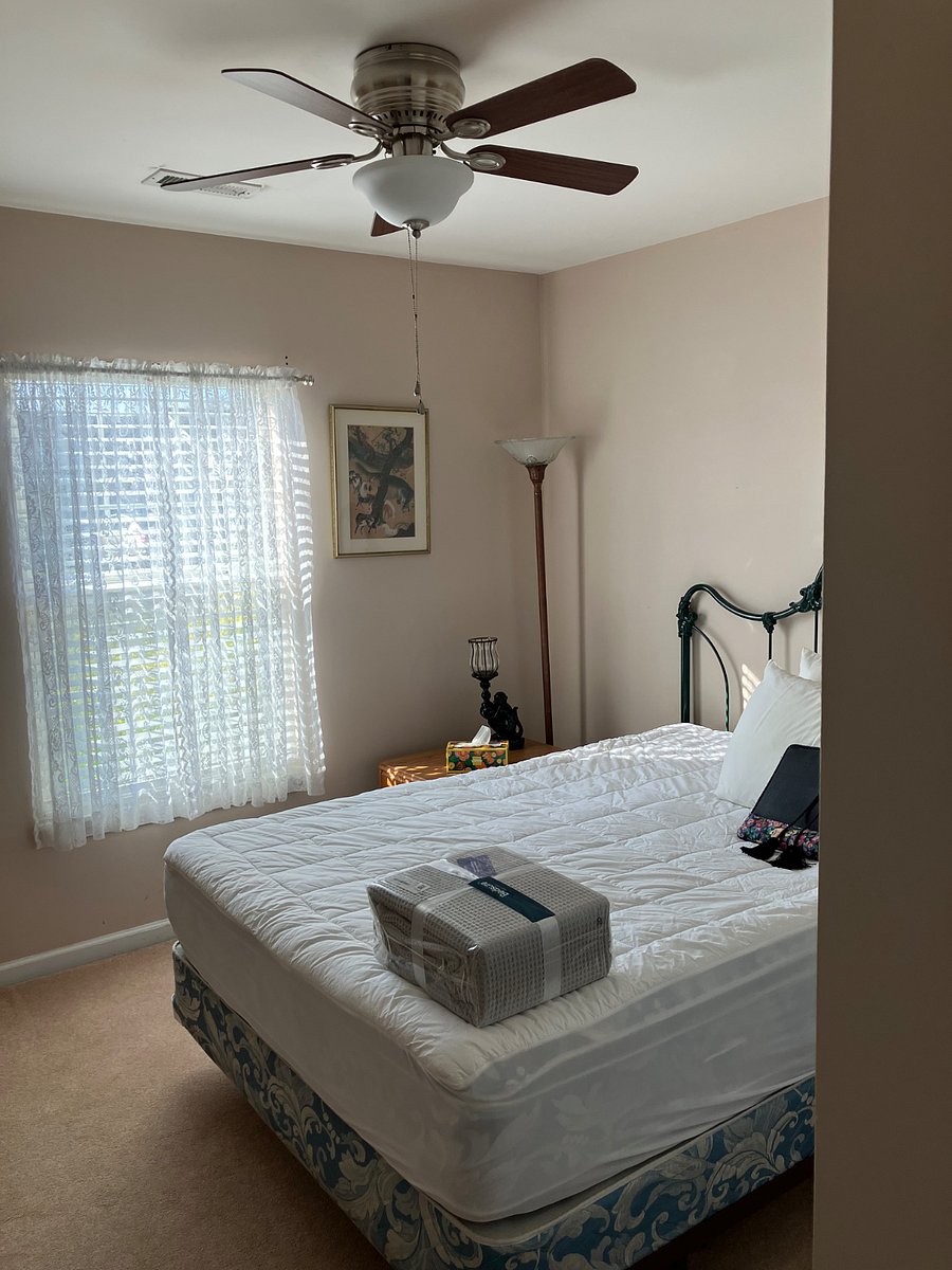 Furnished Finder property 878675_1 photo 3
