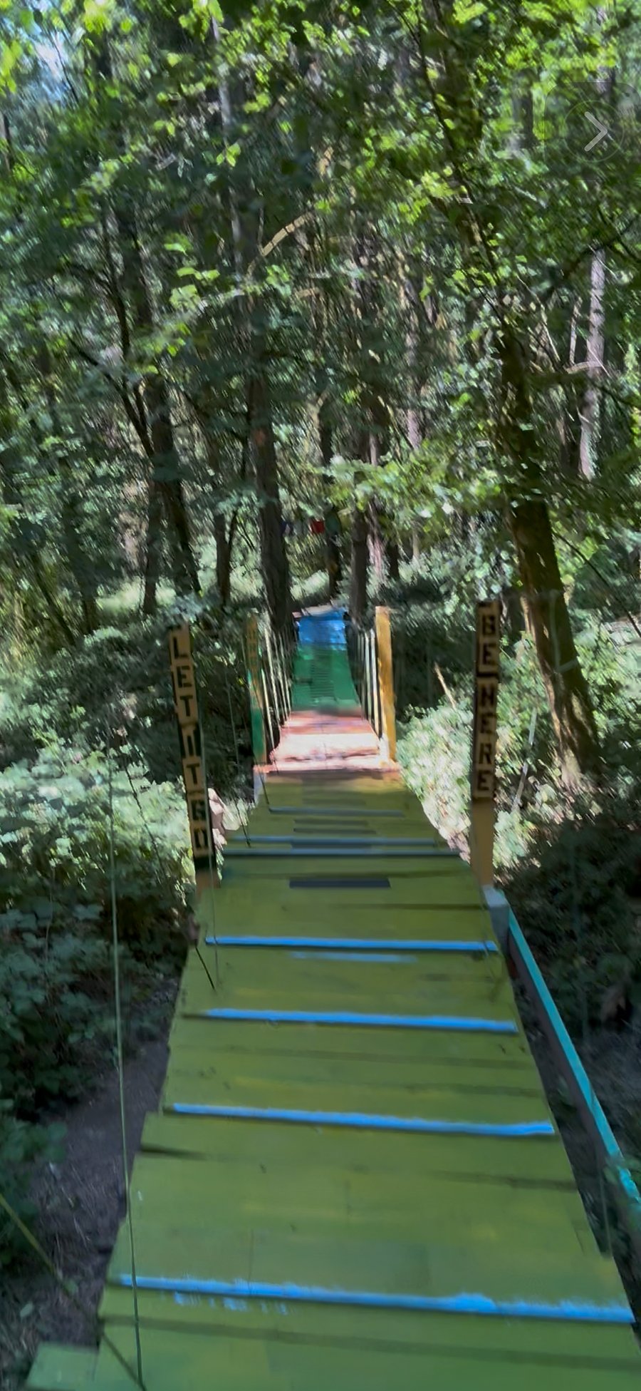 100-foot-long suspension bridge!