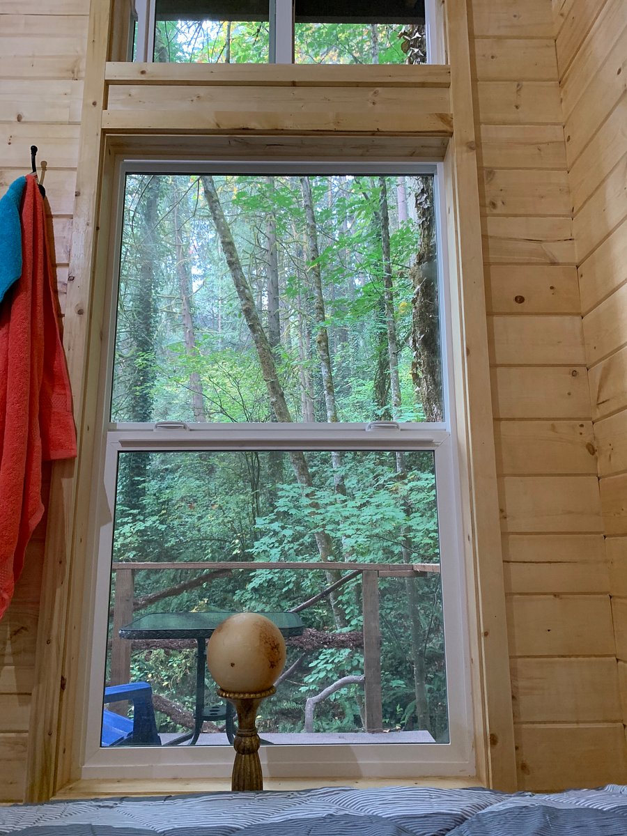 View from Bed