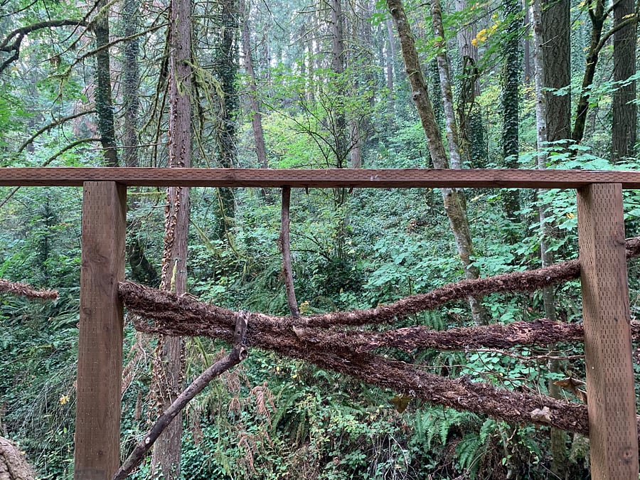 View from deck