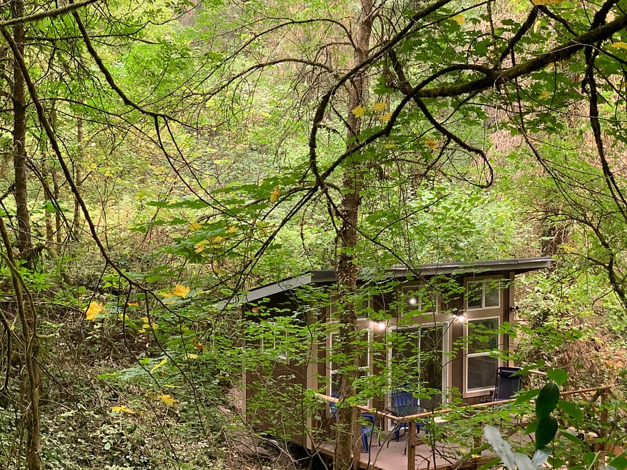 incredible spot