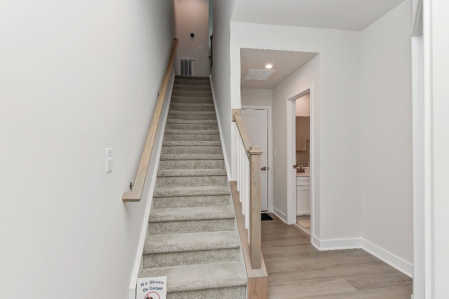 Entry Stairs