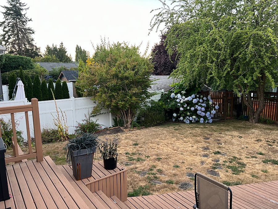 Backyard