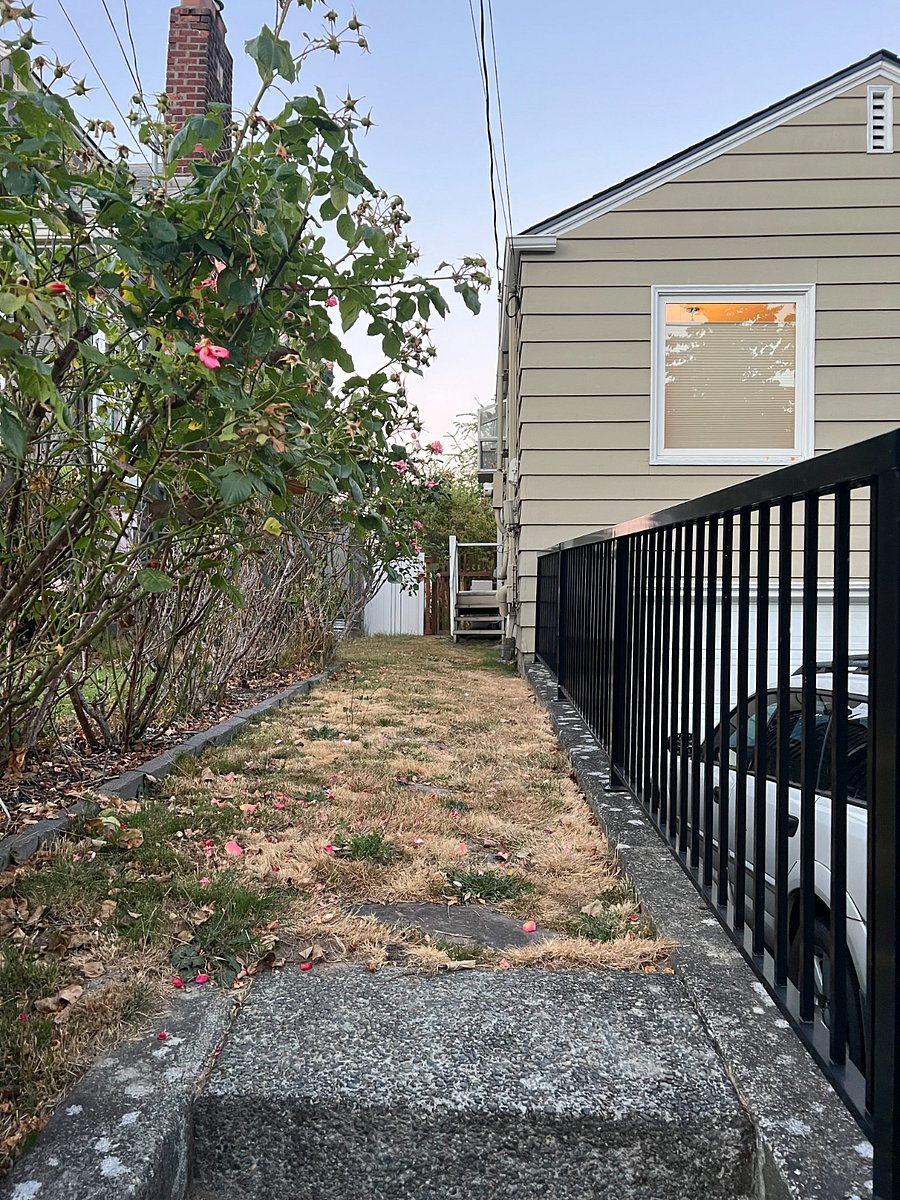 North side of house