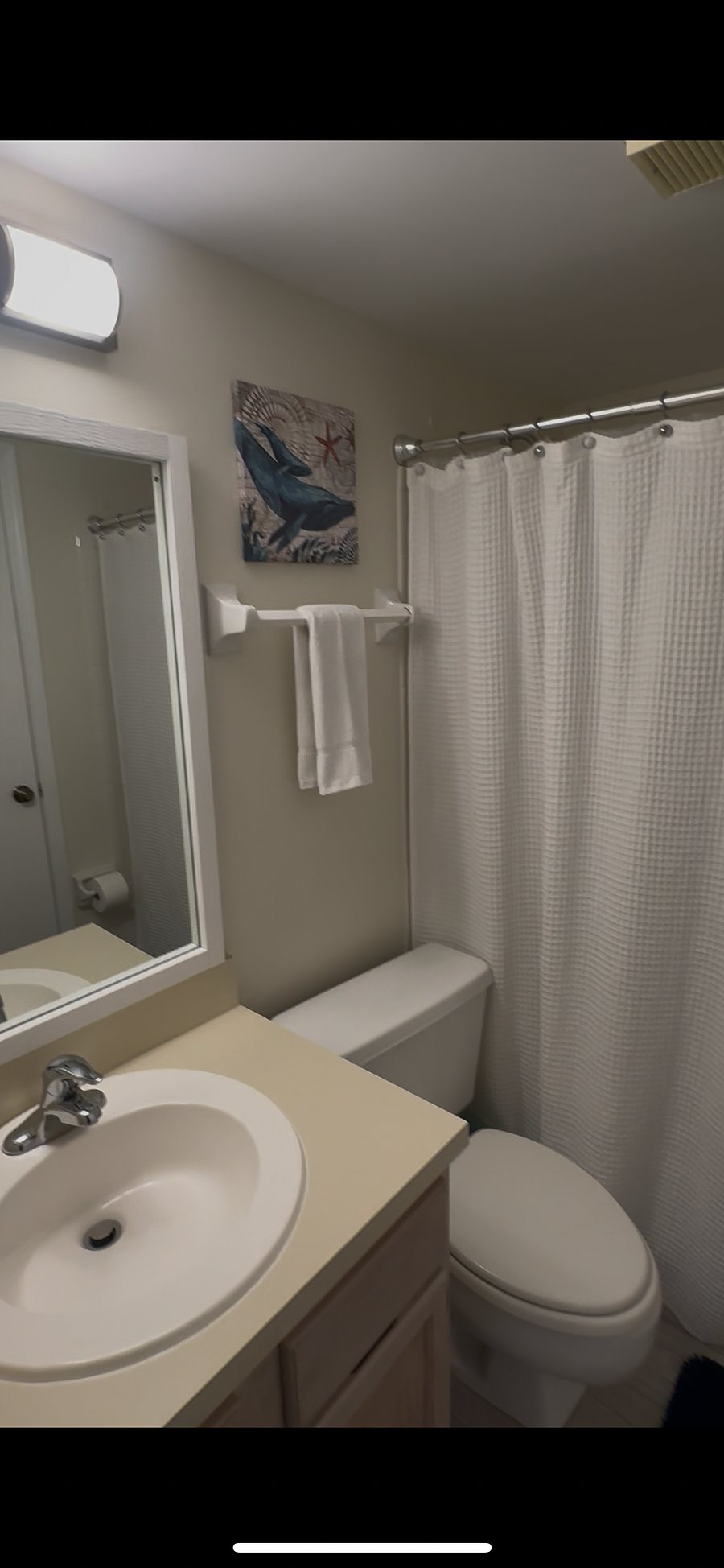 Furnished Finder property 878983_1 photo 39