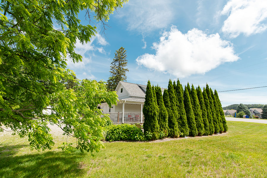 Viewing the south-facing side of the cottage with a privacy hedge of arborvitaes.