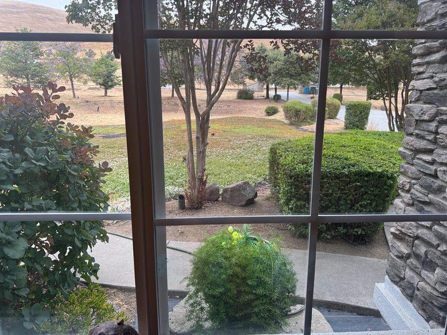 Furnished Finder property 879052_1 photo 3
