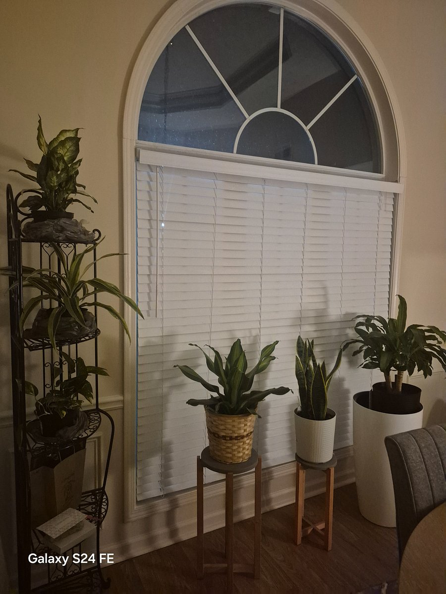 Furnished Finder property 879131_1 photo 6
