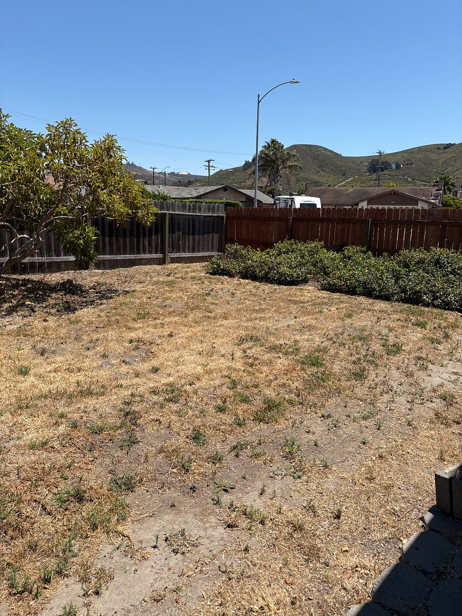 Furnished Finder property 879140_1 photo 9
