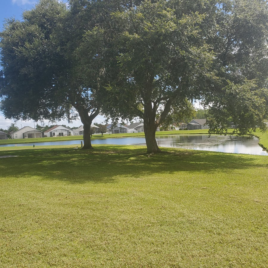 Furnished Finder property 879250_1 photo 15