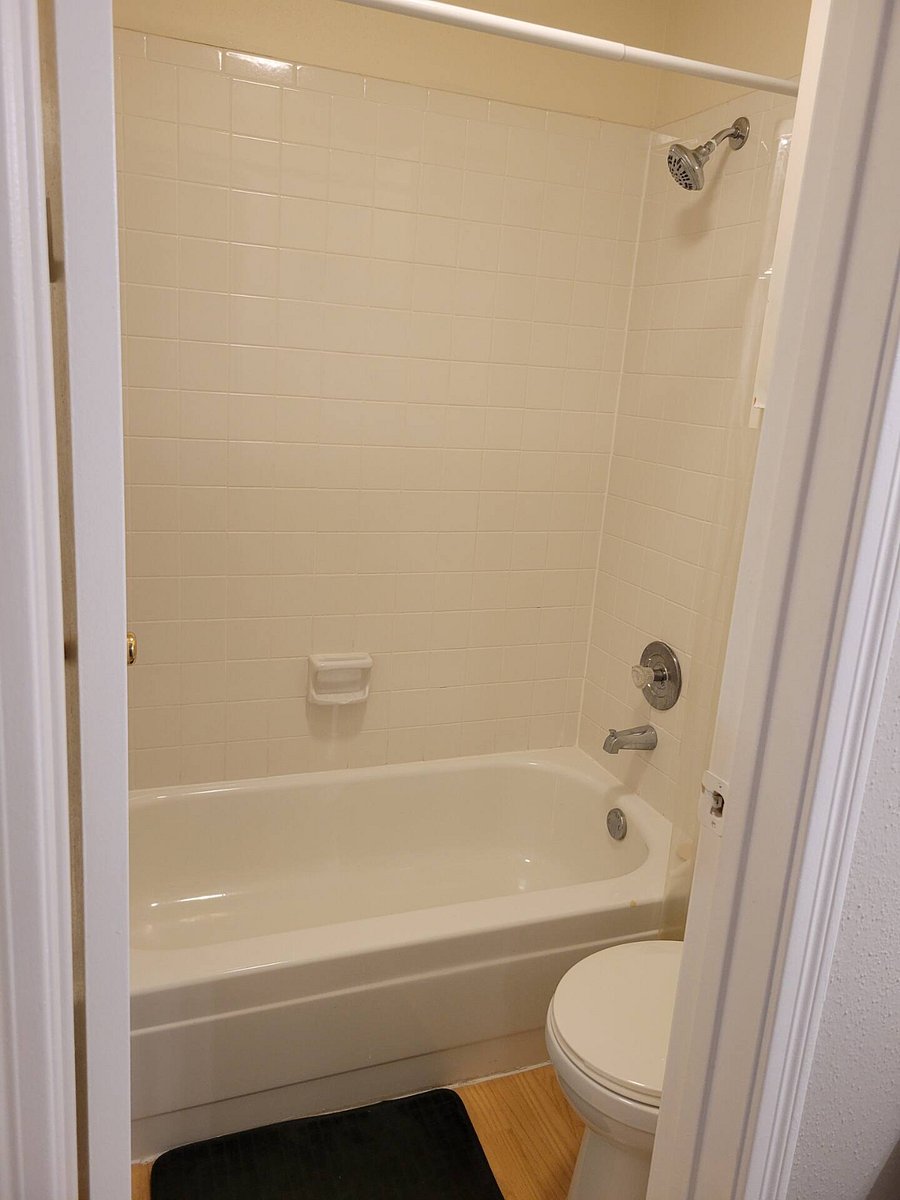 Master Bathtub/Shower view