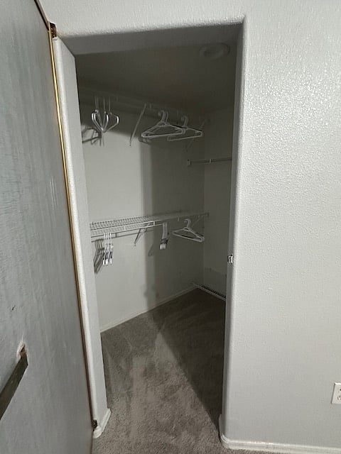 Master Bedroom 1 closet