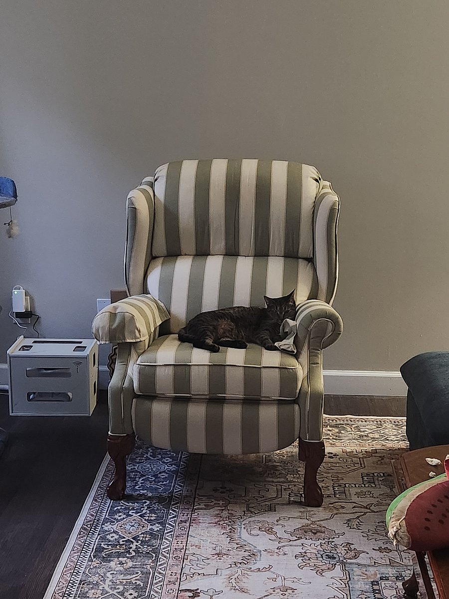 My sweet cat Ivy taking a nap and enjoying the comfy chair