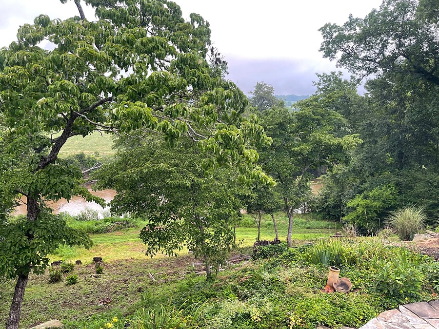 View from back yard