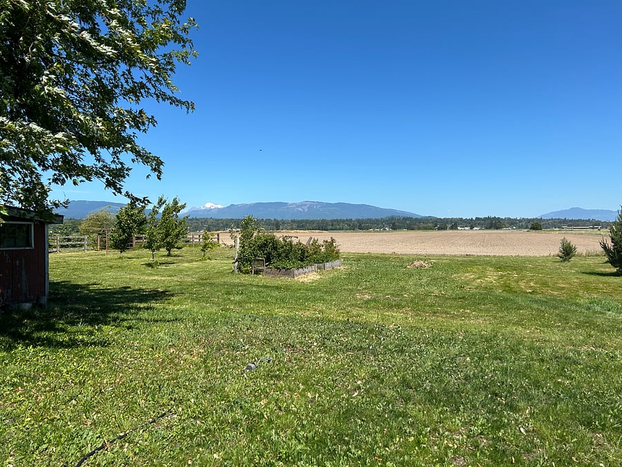 View from your front door.