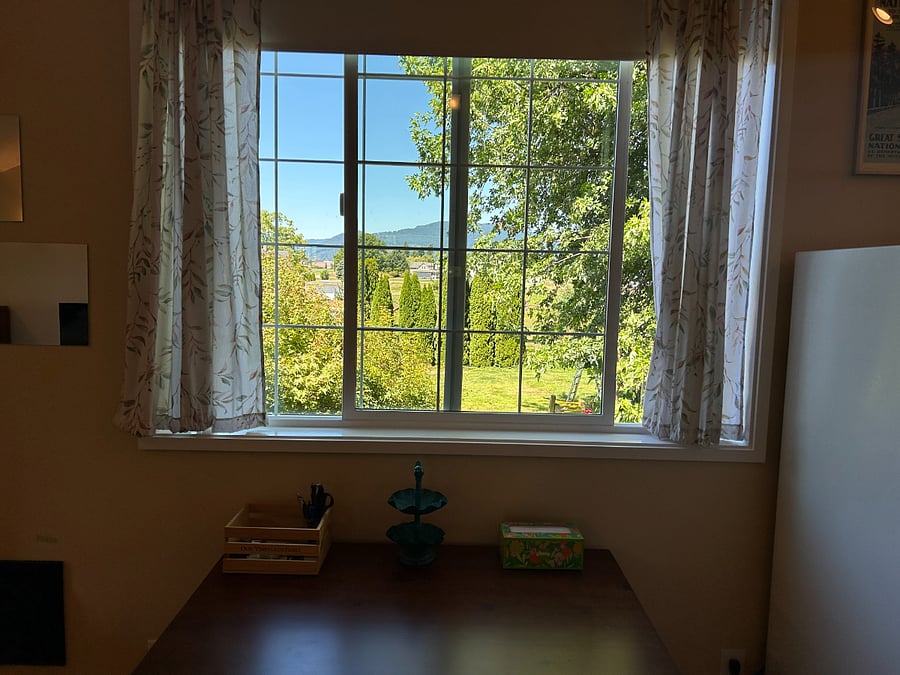View out of large middle window