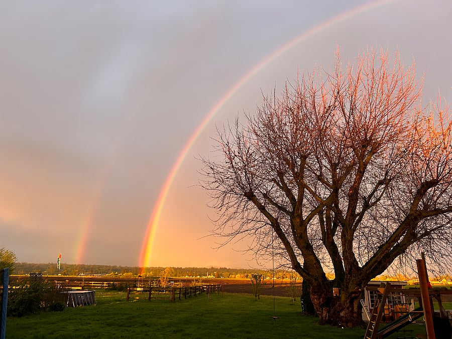 Big beautiful views for when mother nature provides the special treats