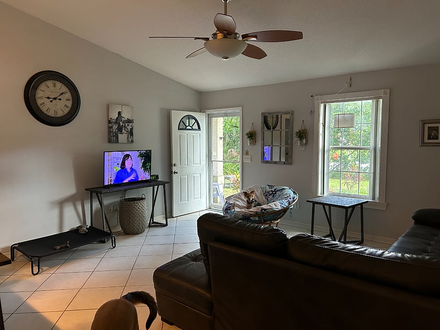 Shared living area