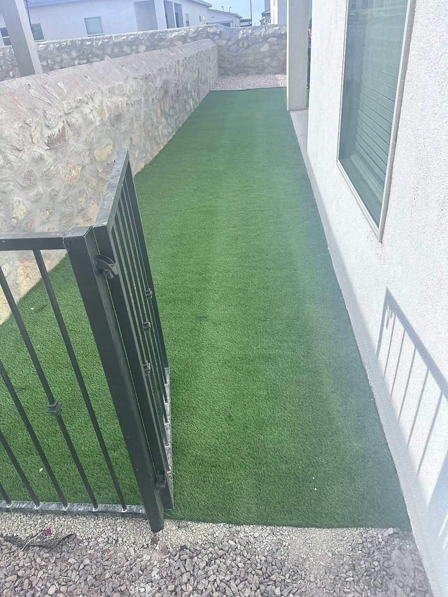 Side yard with artificial turf