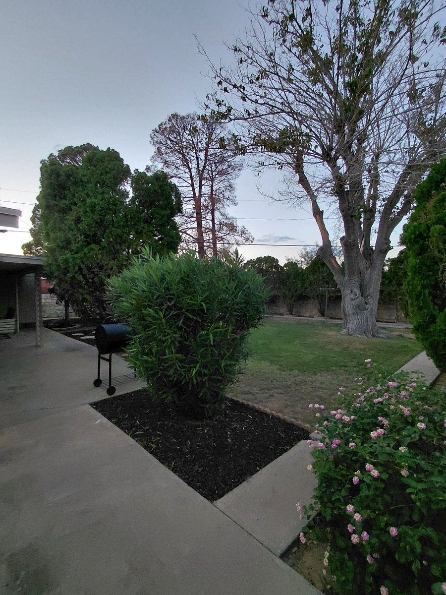 Furnished Finder property 879477_1 photo 30