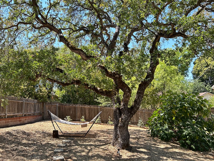 Your perfect nook for unwinding under the shade of an oak.