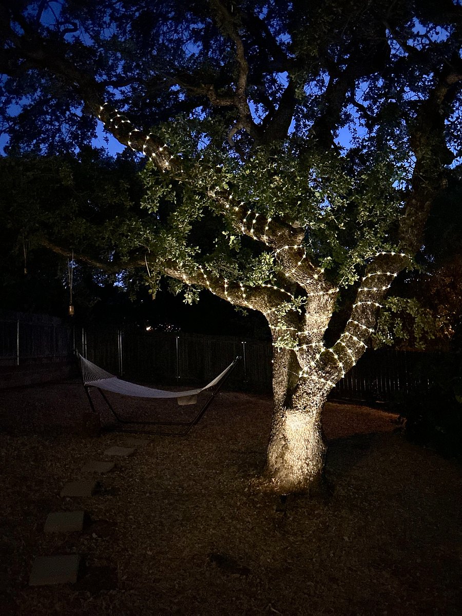 Your perfect nook for unwinding under the shade of an oak.