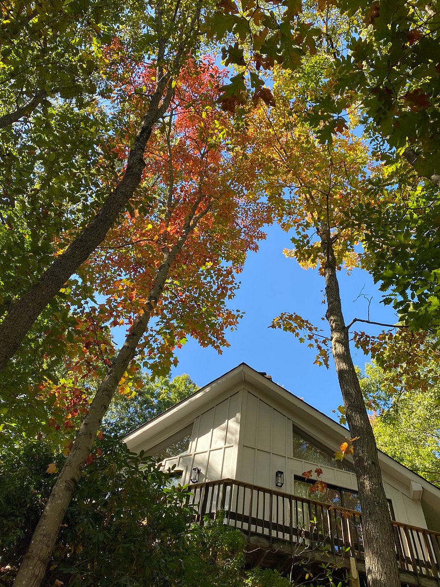 Furnished Finder property 879526_1 photo 9