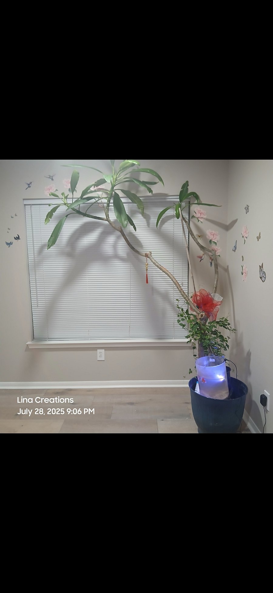 Furnished Finder property 879549_1 photo 3