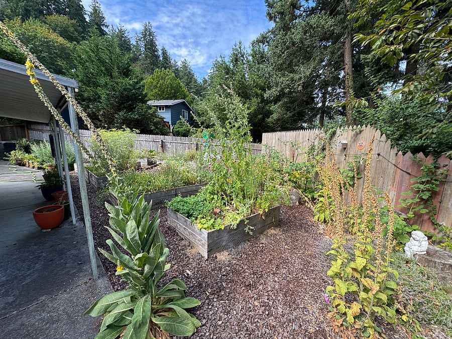 Peaceful Backyard Garden Space