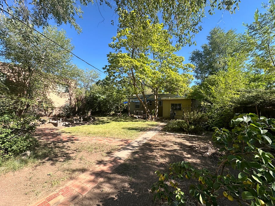 Backyard
