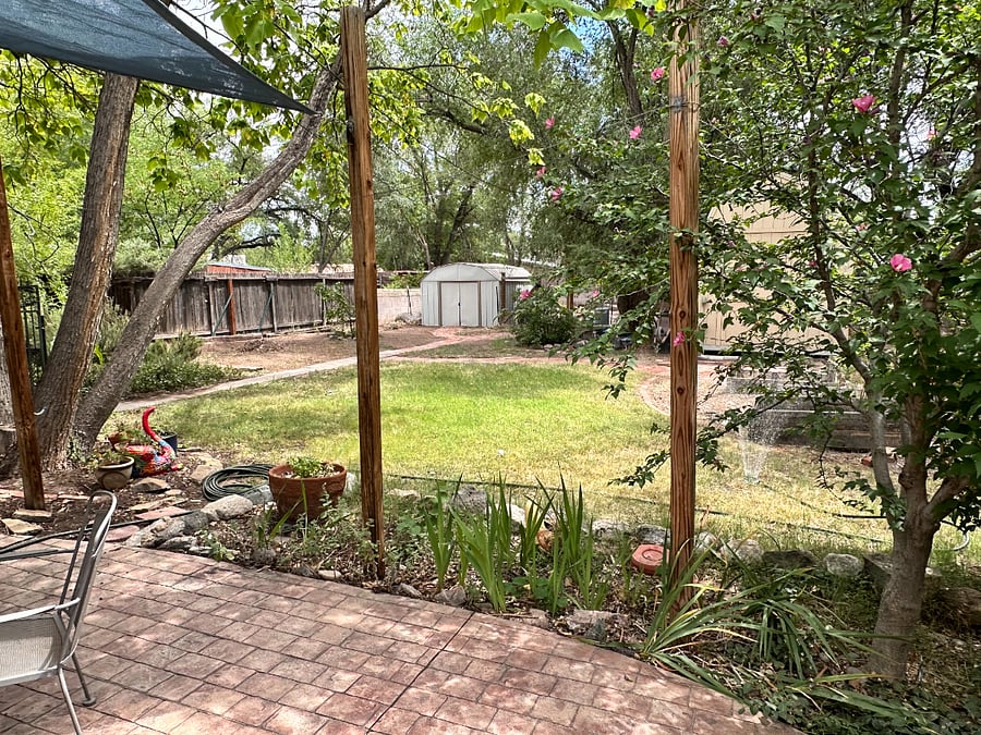 Backyard