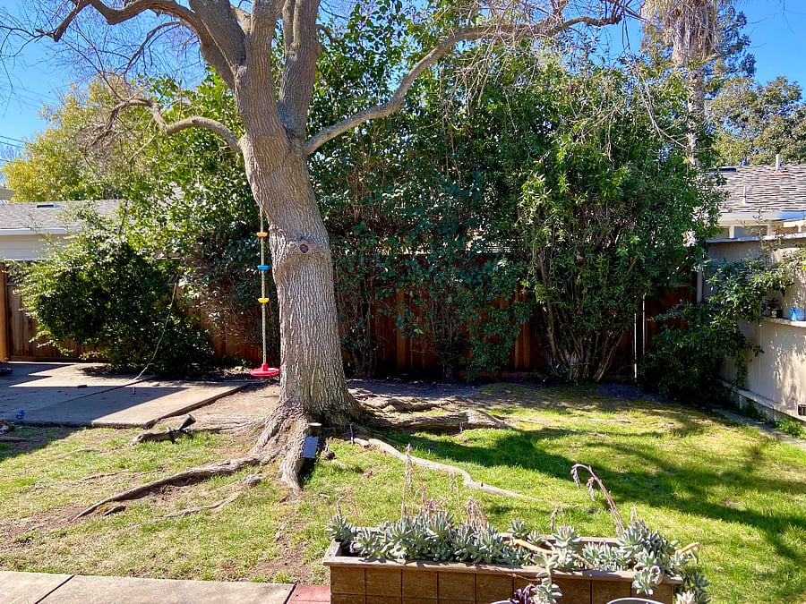 Furnished Finder property 879777_1 photo 13