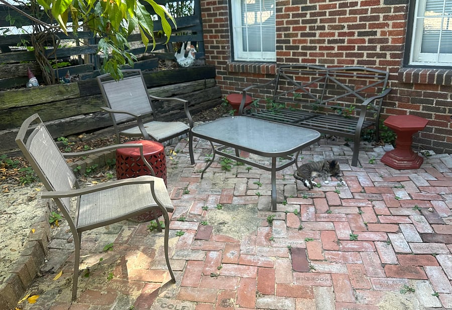 Furnished Finder property 880185_1 photo 15