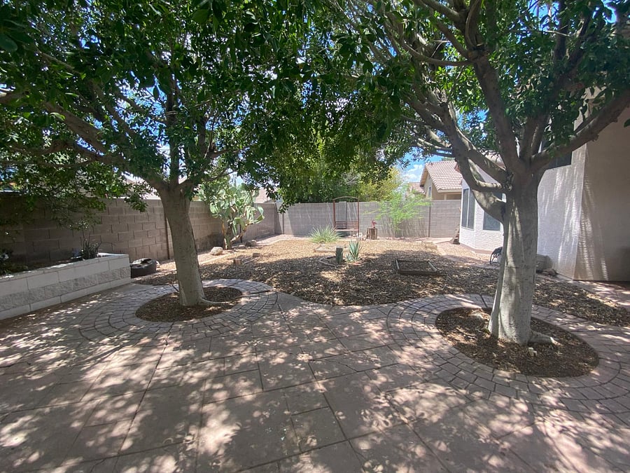 Backyard