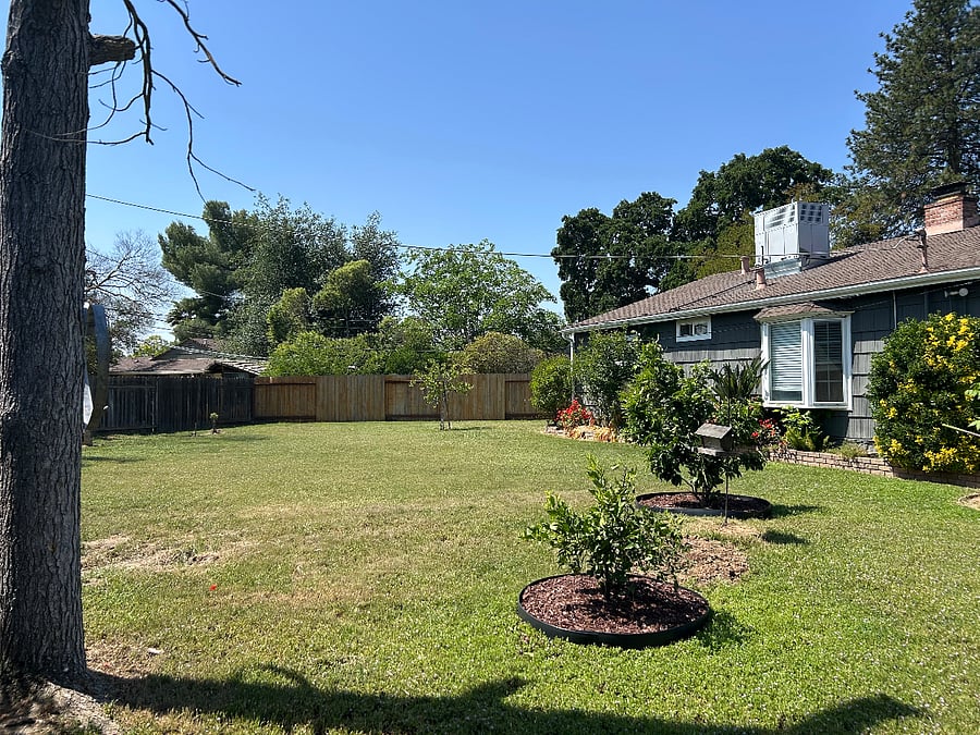 Backyard