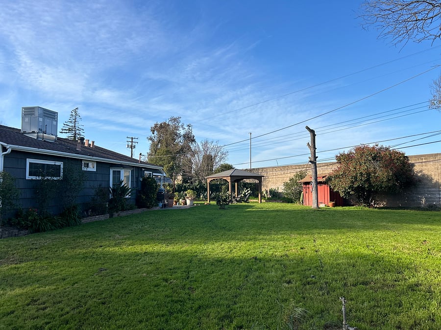 Backyard