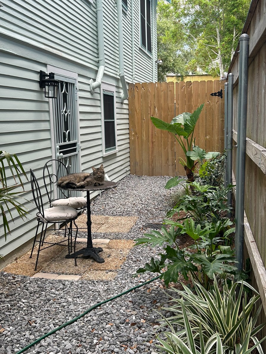 Furnished Finder property 880279_1 photo 21