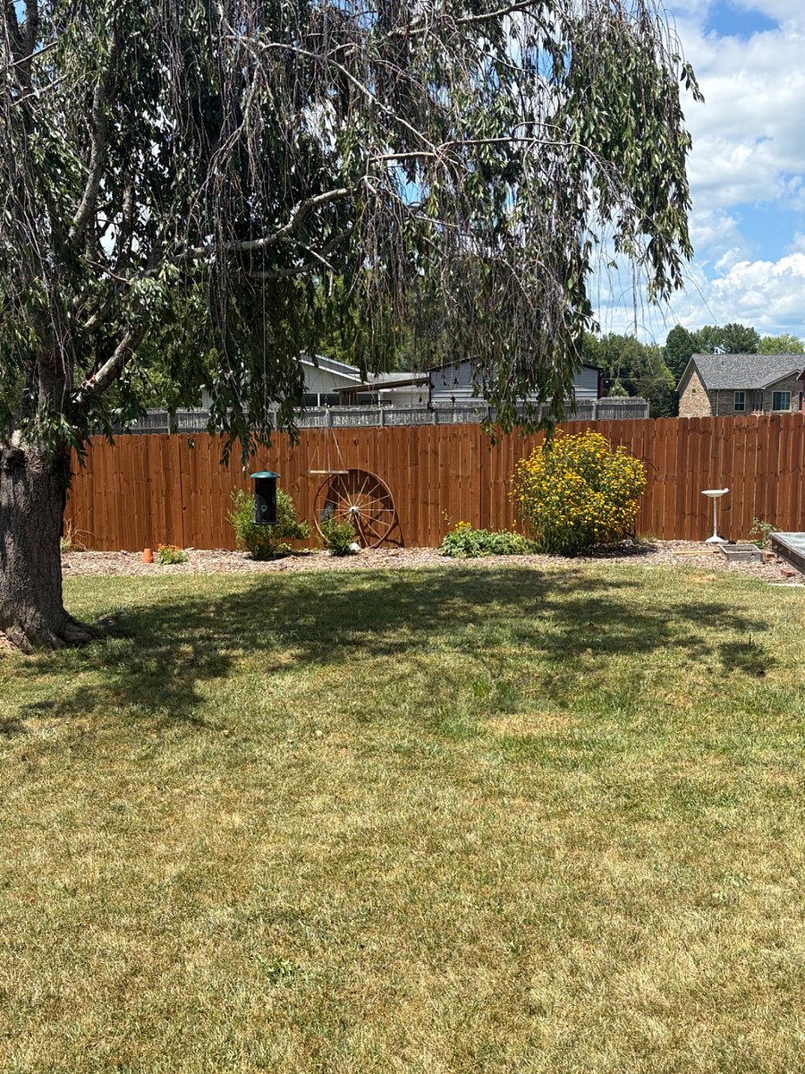 Furnished Finder property 880325_1 photo 10
