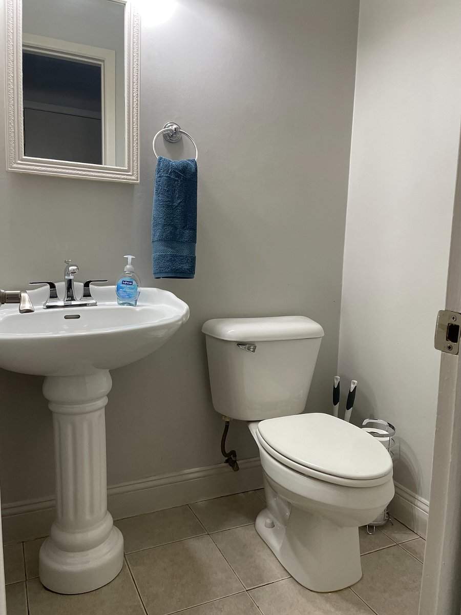 Furnished Finder property 880420_1 photo 30
