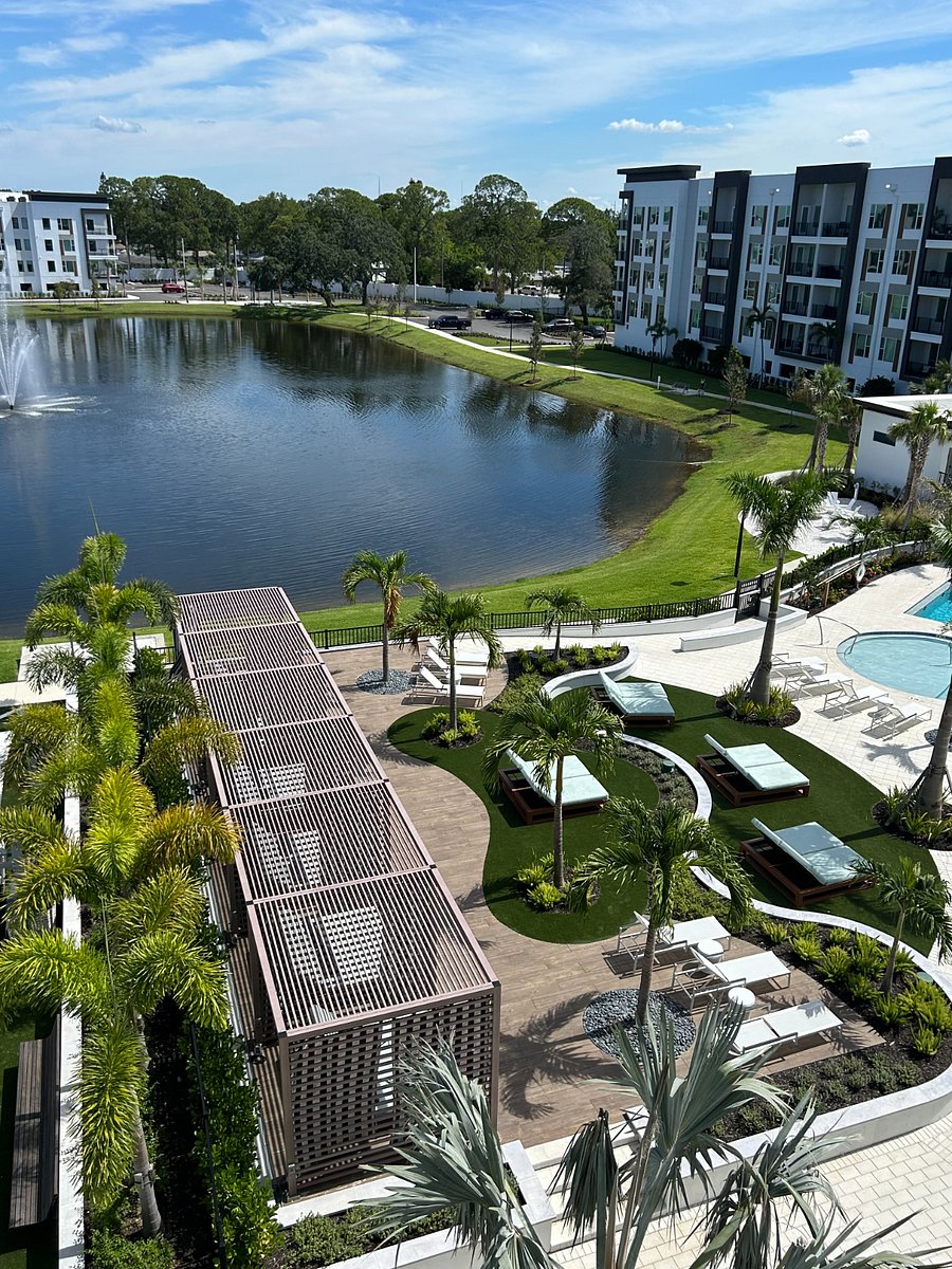Furnished Finder property 880440_1 photo 12