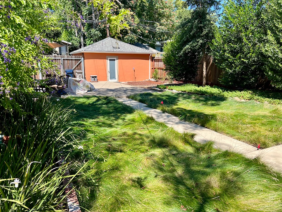 Huge, private backyard with ample room for pets. One of two backyard tables with umbrellas and bbq. Plenty of room to entertain or relax by yourself.